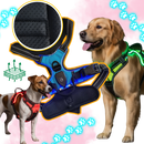 Harnais para cachorro com luz LED piscante, acessório da Dog E Glow, visível com iluminação azul e design respirável.