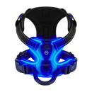 Harnais para cães Dog E Glow com luz LED piscante em azul escuro, disponível nos tamanhos S, M, L e XL.