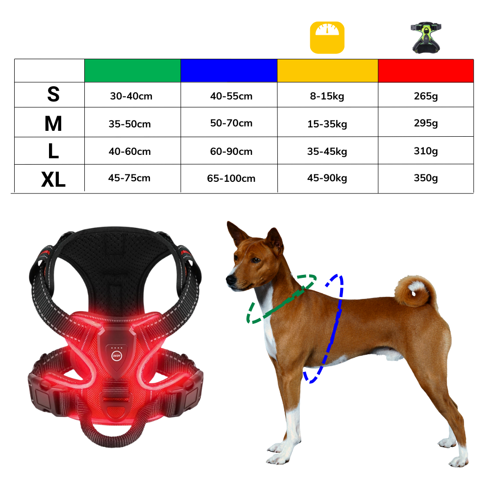 Coleira para cachorro Dog E Glow com luz LED piscante, acessório de segurança com iluminação brilhante para passeios noturnos.