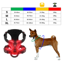 Coleira para cachorro Dog E Glow com luz LED piscante, acessório de segurança com iluminação brilhante para passeios noturnos.