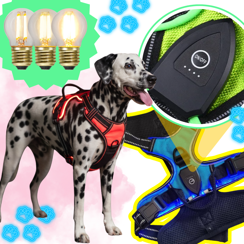 Coleira para cachorro Dog E Glow com luz LED piscante, acessório para segurança e visibilidade durante passeios noturnos.