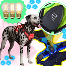 Coleira para cachorro Dog E Glow com luz LED piscante, acessório para segurança e visibilidade durante passeios noturnos.