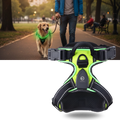 Coleira para cachorro Dog E Glow com luz LED piscante, acessório seguro e visível para passeios noturnos.