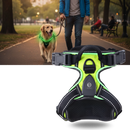 Coleira para cachorro Dog E Glow com luz LED piscante, acessório seguro e visível para passeios noturnos.