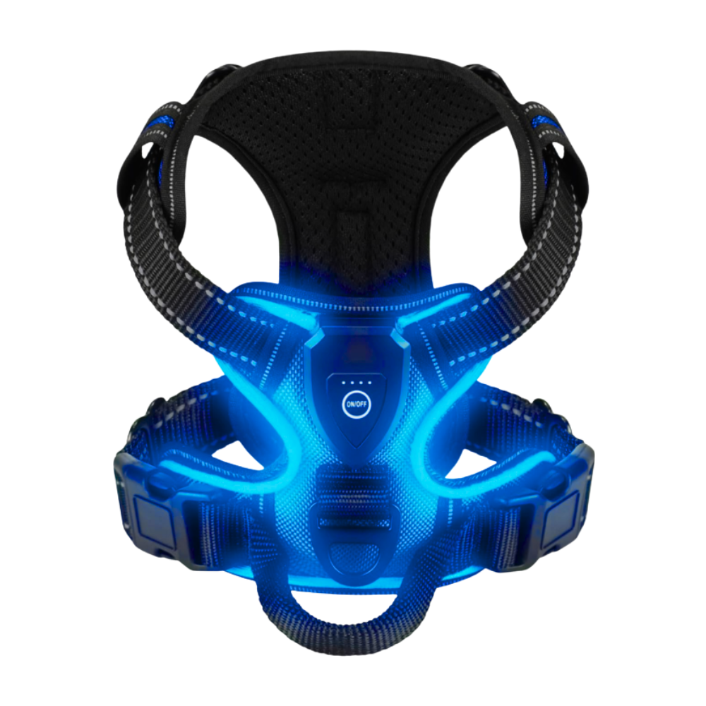 Coleira para cachorro Dog E Glow com luz LED piscante azul, acessório de segurança para cães de diferentes tamanhos.