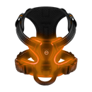 Coleira de cachorro Dog E Glow com luz LED piscante, acessório de segurança para cães em várias cores e tamanhos.