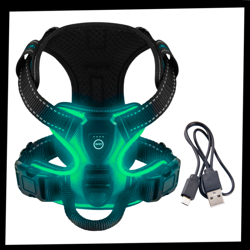 Harnais para cachorro com luz LED piscante da marca Dog E Glow, acessório para segurança e visibilidade durante passeios.