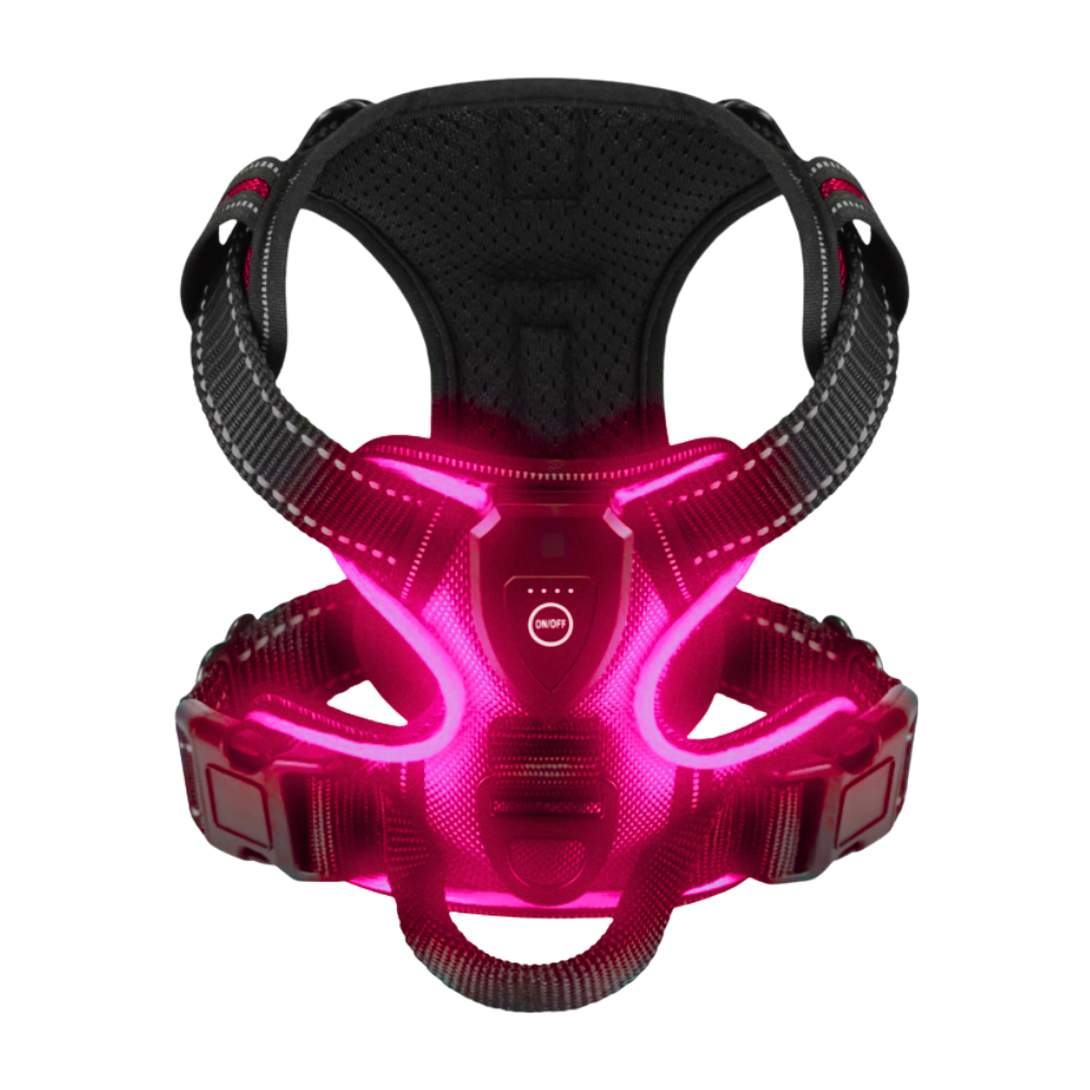 Harnais para cachorro com luz LED piscante da Dog E Glow, em rosa, tamanho S, M, L ou XL, visível na imagem.