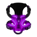 Harnais para cachorro Dog E Glow com luz LED piscante em roxo, acessório para cães, tamanho P a XL, visível na imagem.