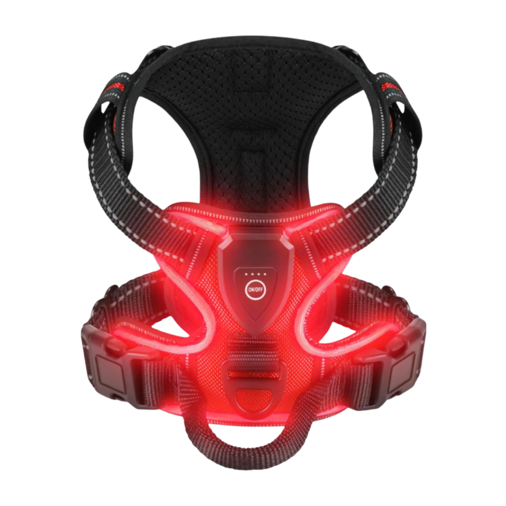 Harnais para cachorro com luz LED piscante da Dog E Glow, em vermelho, disponível nos tamanhos P, M, G e GG.