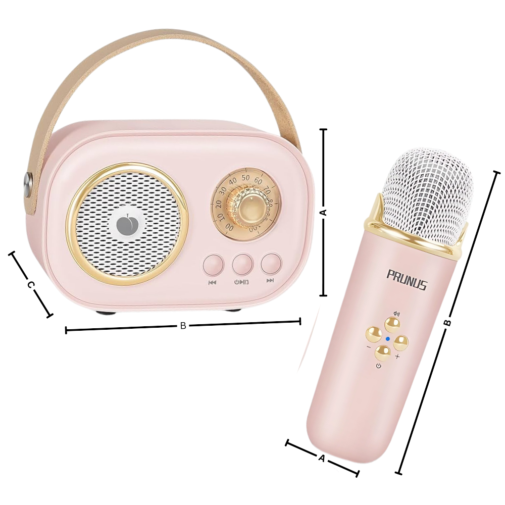 Mini karaoké Bluetooth com dois microfones para crianças, brinquedo musical portátil da Baoblaze.