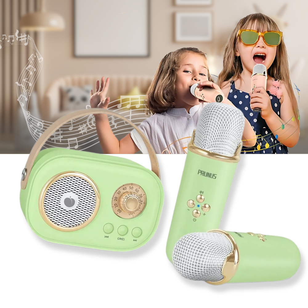 Microfones duplos Bluetooth para crianças, mini karaoké Baoblaze com brinquedos musicais e tela de introdução.