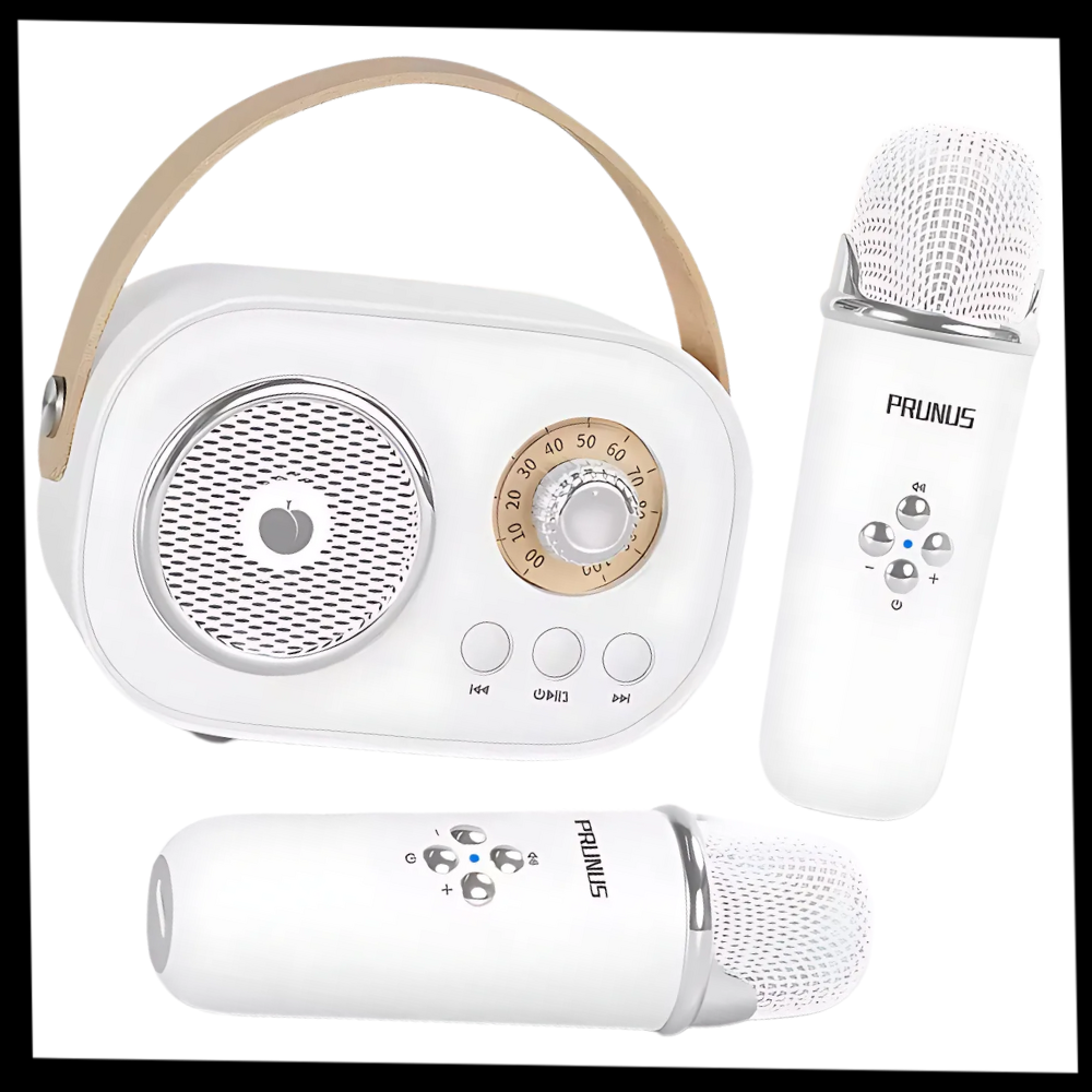 Mini karaokê Bluetooth Baoblaze com dois microfones para crianças, brinquedo musical divertido e portátil para diversão musical.
