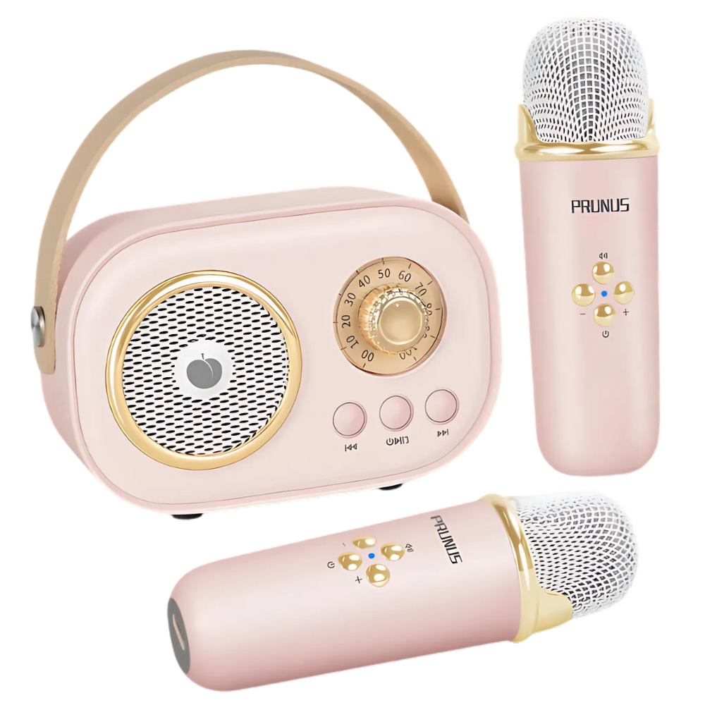 Mini karaoké Bluetooth com dois microfones para crianças, brinquedo musical da Baoblaze, rosa, ideal para diversão infantil.