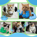 Fantasia de acessório para gatos com braços de bodybuilder, incluindo pequenos braços flexíveis para o gato da marca Freecozyer.