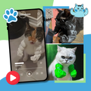 Acessório para gatos, fantasia de braço de bodybuilder, com gato sentado e fantasia de braços musculosos da Freecozyer.