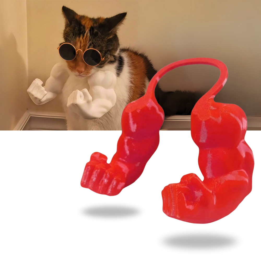 Acessório para gatos, fantasia de braço de fisiculturista para gatos, marca Freecozyer, com braços de musculoso em pelúcia.