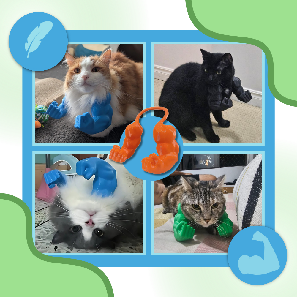 Fantasia de braço de fisiculturista para gato, acessório para pets, com aparência forte e leve, da marca Freecozyer