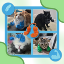 Fantasia de braço de fisiculturista para gato, acessório para pets, com aparência forte e leve, da marca Freecozyer