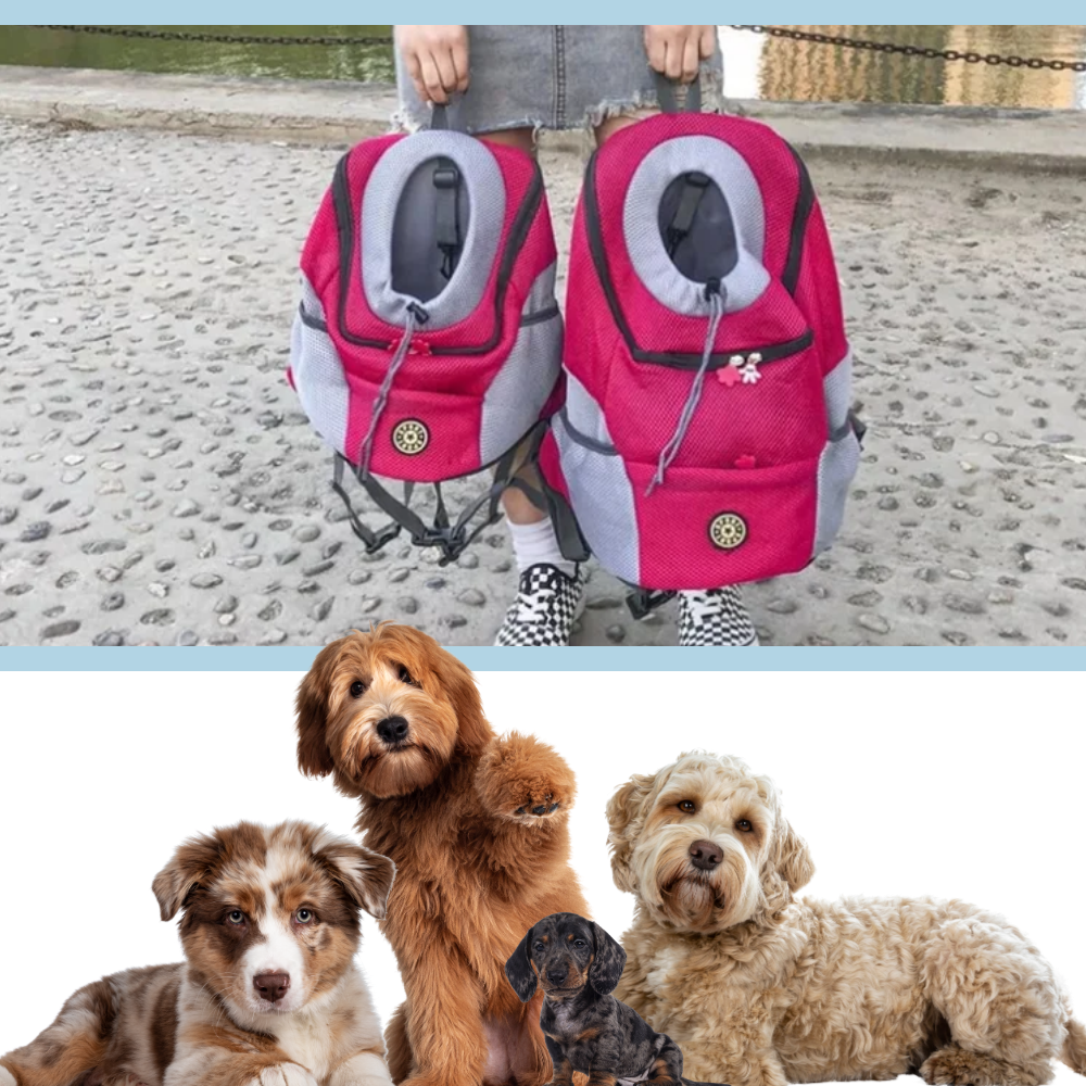 Mochila de transporte respirável para cães, acessório para cães da Huahong, mostrando o design confortável nas costas do animal.