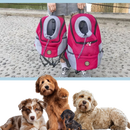Mochila de transporte respirável para cães, acessório para cães da Huahong, mostrando o design confortável nas costas do animal.