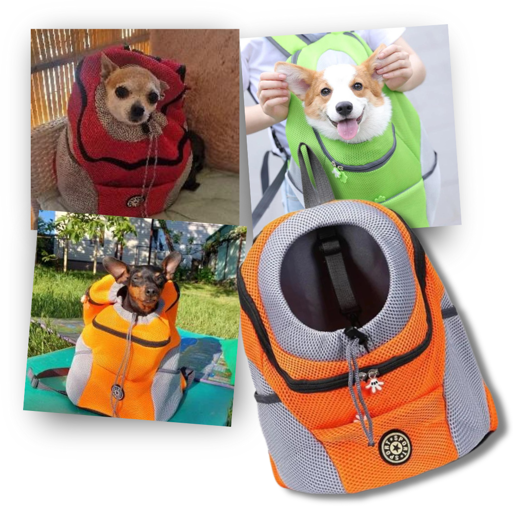 Mochila de transporte respirável para cães da Huahong, acessório para transporte confortável de animais de estimação.