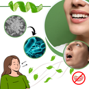 Purificateur de haleine à la menthe Breatify, soin buccal, com embalagem e ingredientes visíveis.