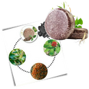 Sabonete capilar noircissant e hidratante da Bsmean, com ingredientes naturais para cabelos escuros e hidratação intensa.