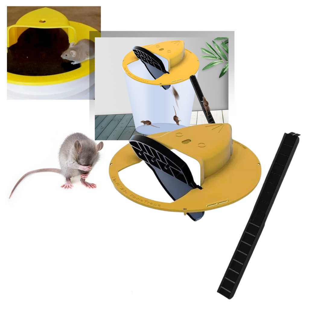 Cesta de contenção para ratos e camundongos da Bsmean, usada para controle de pragas com método de isca e captura.