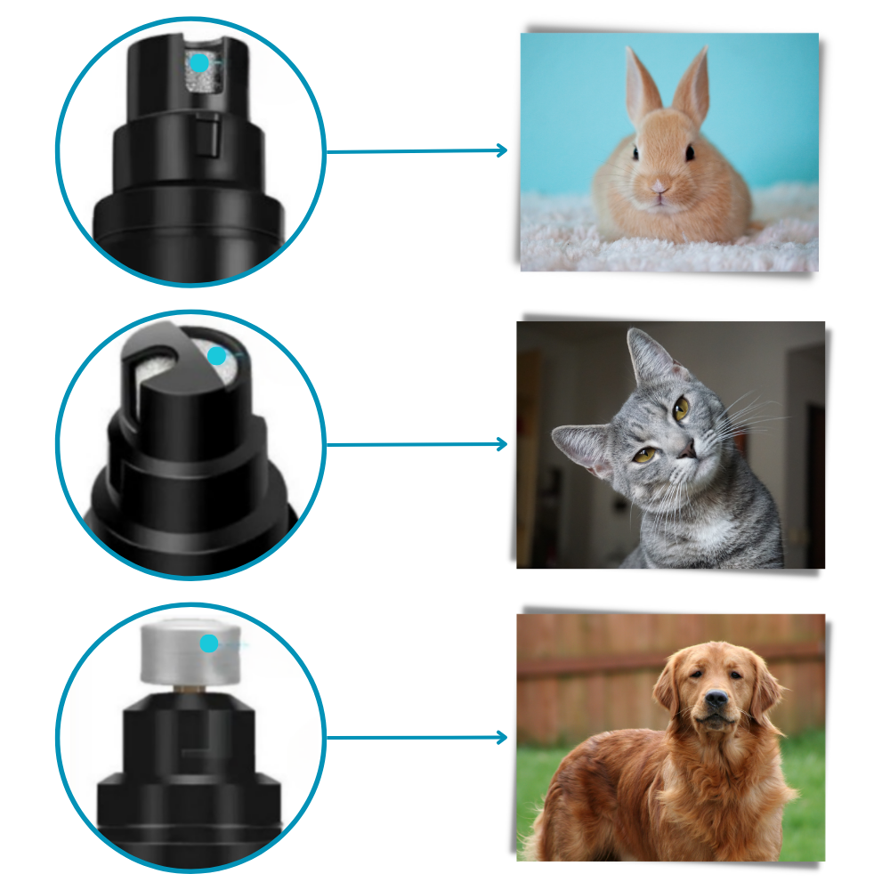 Cortador de unhas para animais de estimação da marca Bxasdf, ferramenta de toilettage para corte de unhas de pets.