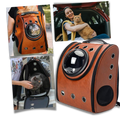 Mochila de viagem para gatos da Qtong, acessório para caixas de transporte de animais, vista traseira do produto.