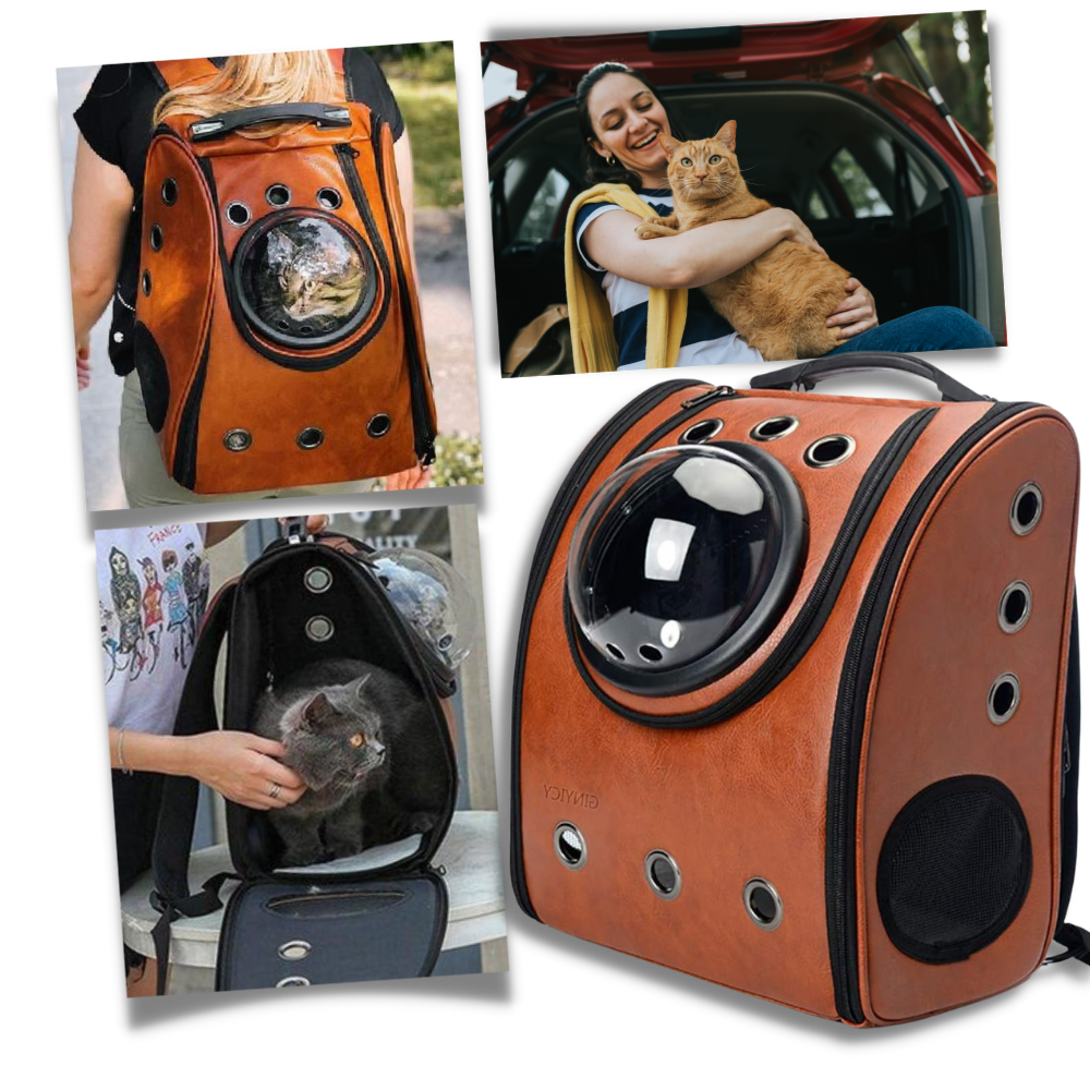 Mochila de viagem para gatos da Qtong, acessório para caixas de transporte de animais, vista traseira do produto.