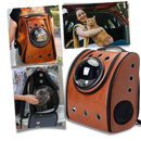 Mochila de viagem para gatos da Qtong, acessório para caixas de transporte de animais, vista traseira do produto.