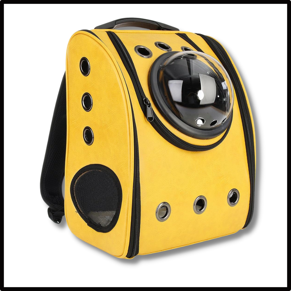 Mochila de viagem para gatos da Qtong, acessório para transporte de animais com espaço para conforto do felino.