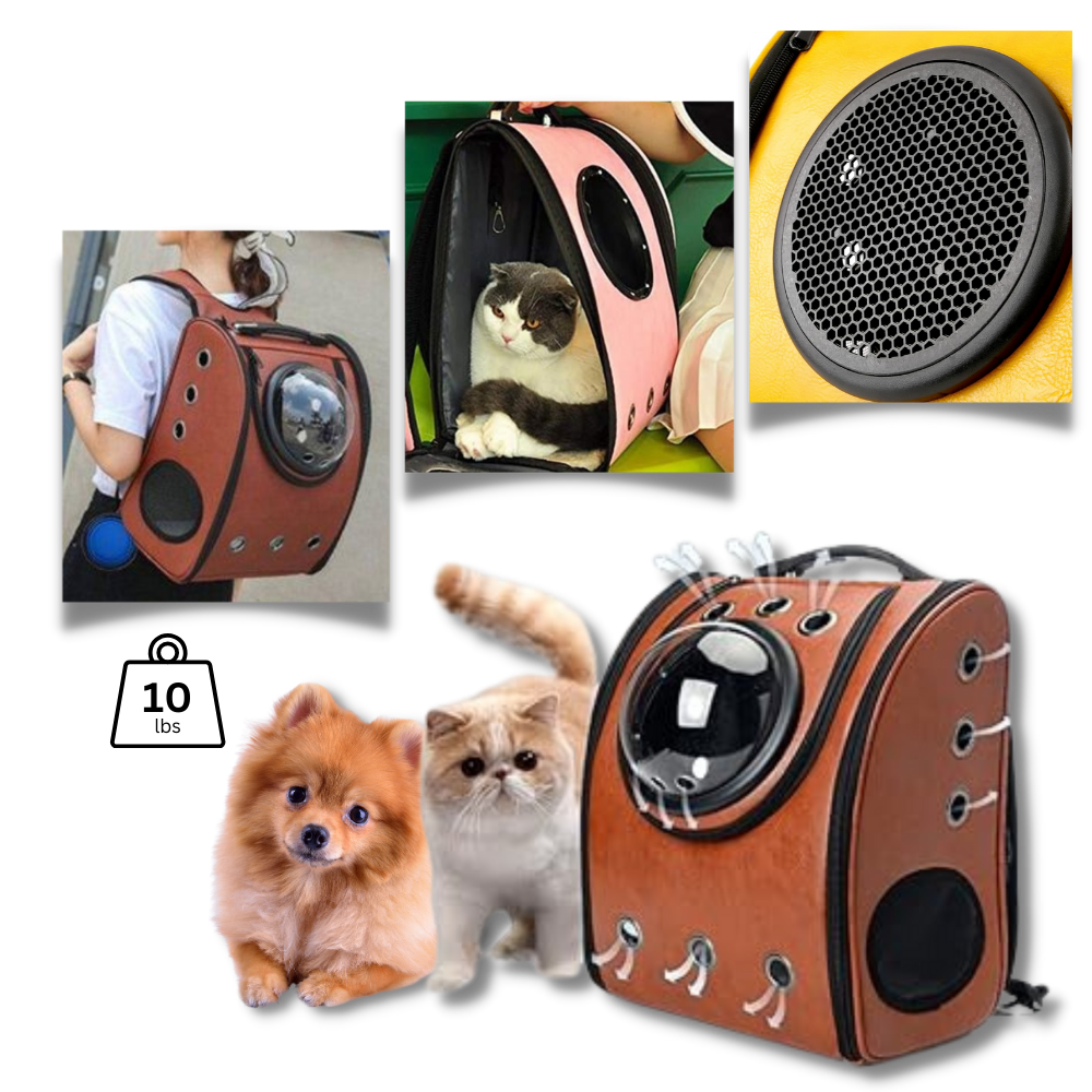 Mochila de viagem para gatos da Qtong, acessório espaçoso e arejado para transporte de animais domésticos.