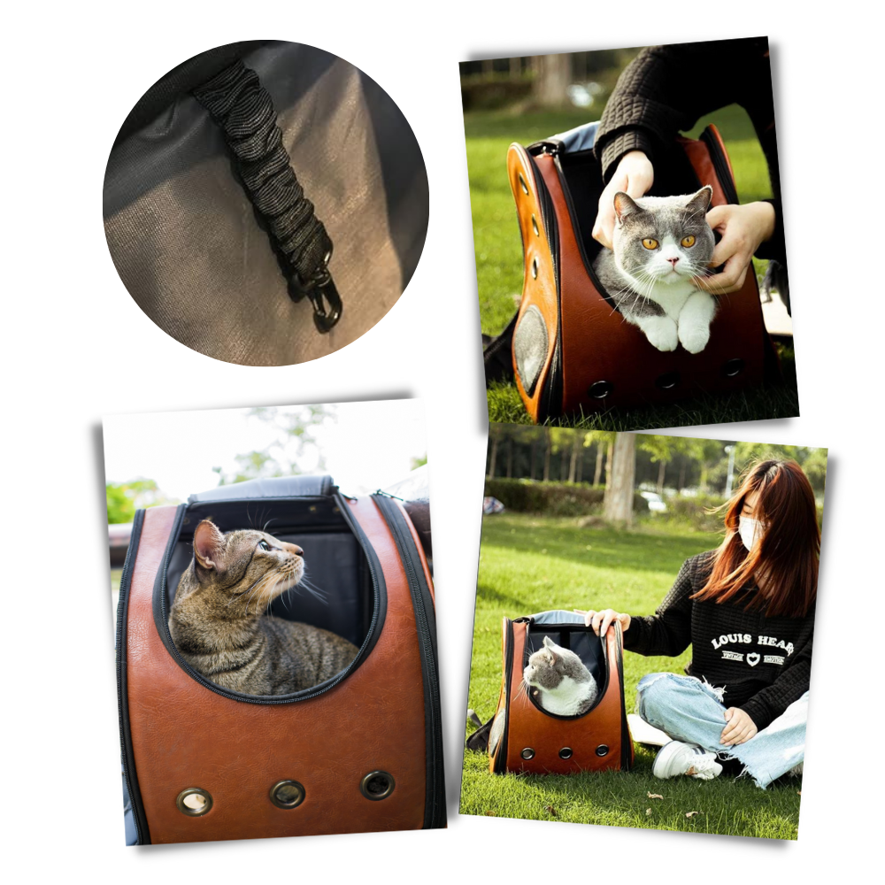 Mochila de viagem para gatos da Qtong, acessório seguro e confortável para transporte de animais.