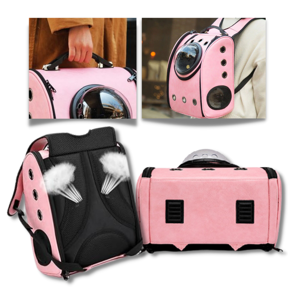Mochila de viagem para gatos da Qtong, acessório para transporte de animais, vista traseira com espaço confortável para o pet.