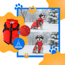Colete de inverno confortável para cães da marca Popvcly, com tecido acolchoado e proteção contra o frio.
