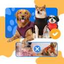 Colete de inverno confortável para cachorro da marca Popvcly, com acabamento acolchoado e ajuste personalizado.