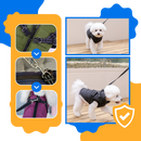 Jaqueta de inverno confortável para cães da marca Popvcly, com capuz e tecido acolchoado para passeios aquecidos.