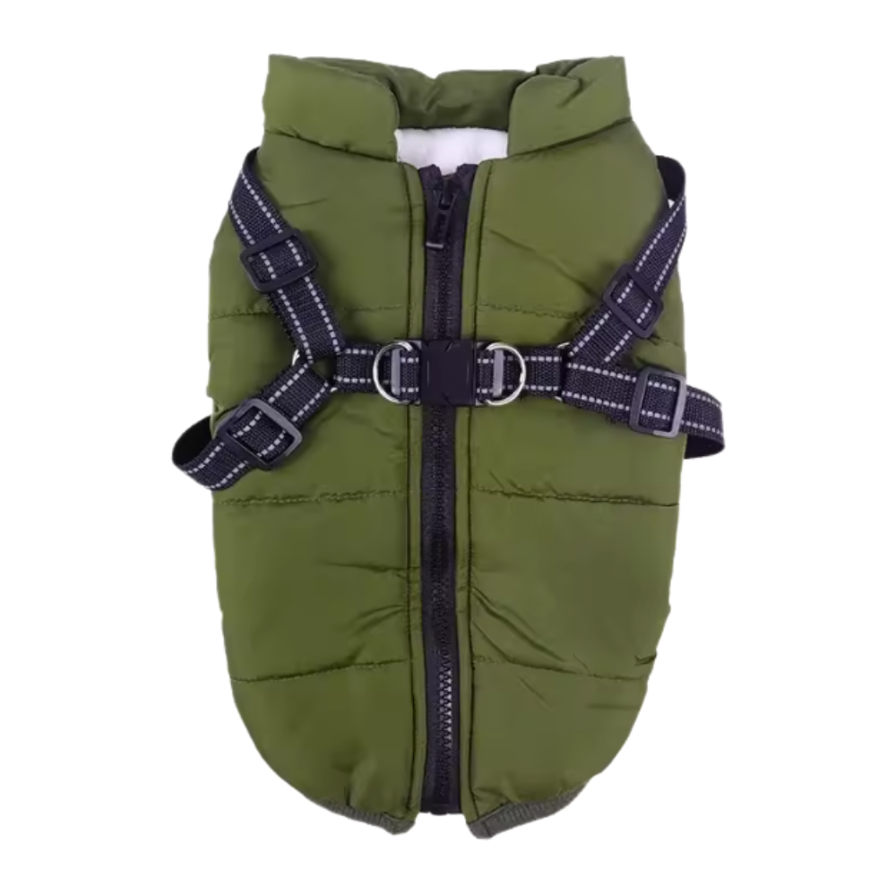 Colete de inverno confortável para cachorro da marca Popvcly, jaqueta verde aconchegante para cães.