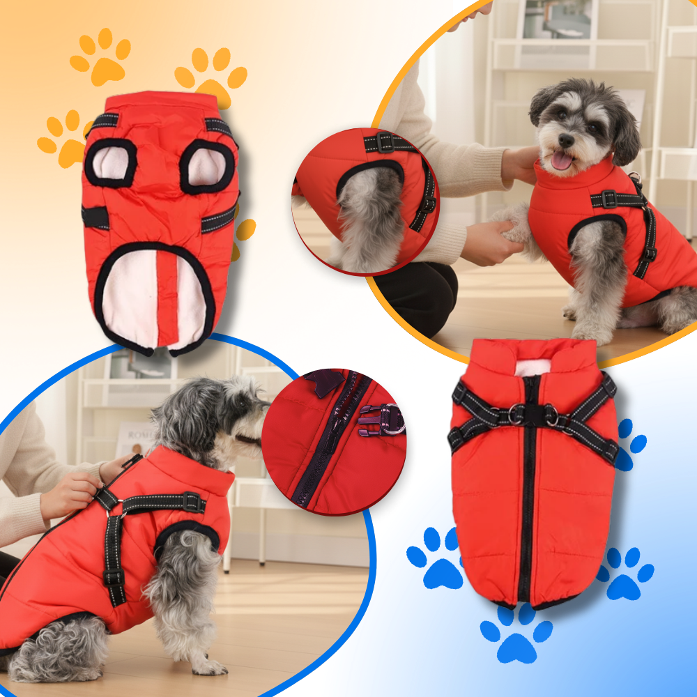 Colete de inverno confortável para cães da marca Popvcly, com design acolhedor e fácil de vestir para passeios no frio.