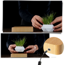 Vaso de planta flutuante em levitação da Cute Party, com design de jardinagem em tom marrom claro, ideal para decoração moderna.
