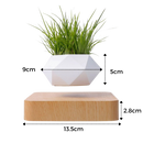 Vaso de planta flutuante em levitação da Cute Party para decoração de jardinagem, em tom marrom claro.