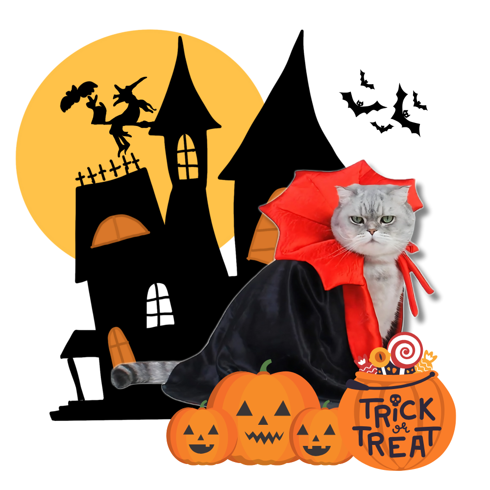 Fantasia de Halloween Dracula para animais de estimação, traje fofo e assustador para pets, marca Iflyooy, ideal para festas de Halloween.