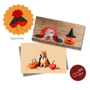 Fantasia de Halloween de Drácula para animais de estimação, leve e confortável, com detalhes de penas, da marca Iflyooy