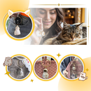 Chaveiro cápsula com pelos de gato fofos, acessório para animais de estimação, da marca Allasfun, com detalhes macios e adoráveis.