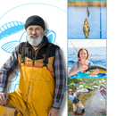 Calendário de Advento de pesca Borang com surpresas diárias, refletindo paixão e artesanato na pesca.