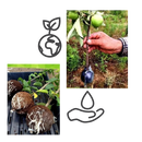 Conjunto de 3 caixas de jardinagem Deeptech pretas para stratificação de plantas, com tampas de 5 cm de altura.