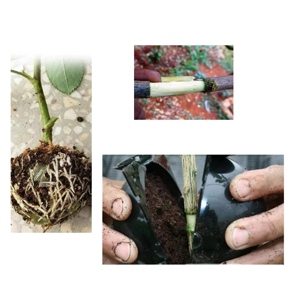 Conjunto de 3 caixas de plantas pretas para jardinagem e estratificação do ar, da marca Deeptech, com detalhes visíveis.